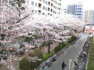 20130401-002.jpg