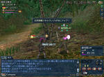 2008122304.jpg