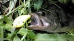 20100825100921.jpg