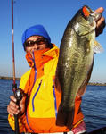 sif-OBCC1-1291304552.jpg