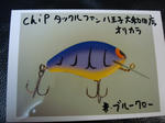 d64ba335.jpg