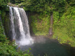 SANY00322.jpg