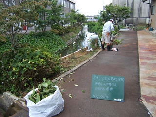 furusato09-1.jpg
