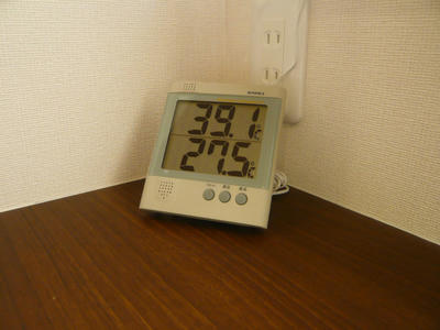 NI008.jpg