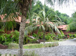 109647291_57.jpg