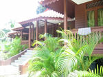 109647866_194.jpg