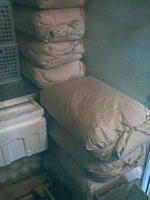 P1020030.JPG
