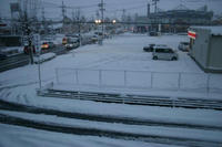 IMG_2154.jpg