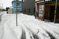 IMG_2156.jpg