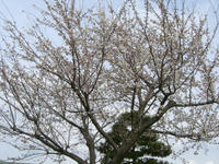 6b2f3000.jpg