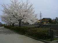 c67121b8.jpg