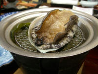 bf02bc01.jpg