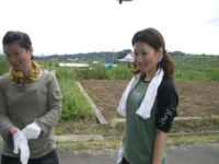 153534d9.jpg