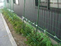 acba7d15.jpg