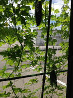 IMG_1748.jpg