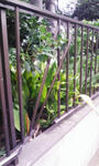 090919_101200.jpg