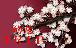 a4c2114b.jpg