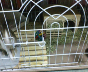 20070807205446.jpg