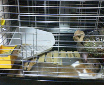 20070807210325.jpg