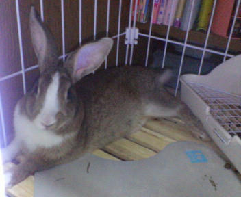 20070808191821.jpg