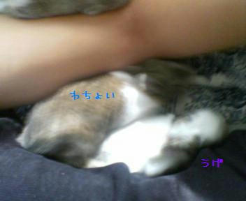 03.JPG