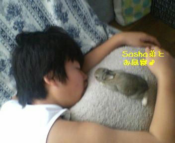 04.JPG