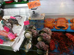 s-P1000286.jpg