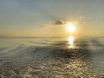 IMG_0393.jpg