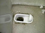 gumyoji-public-toilet-04.jpg