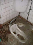 梅月湯　男性用浴場　トイレ個室
