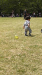 228f30a6.jpg