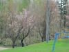 h250527_3.jpg