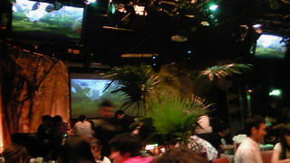 NEC_0088.jpg