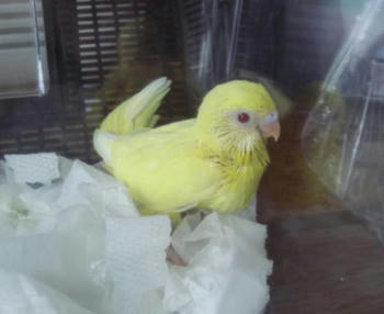 2009823pipi1.jpg