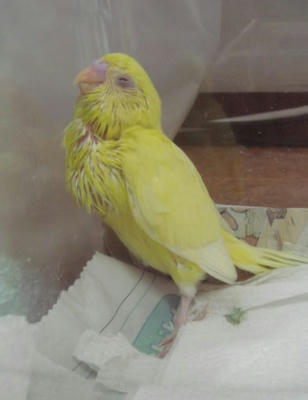 2009825pipi1.jpg