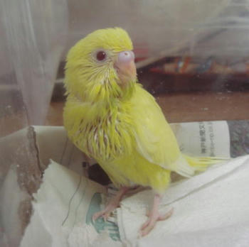 2009825pipi2.jpg