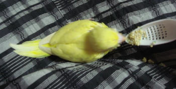DSC03442.JPG