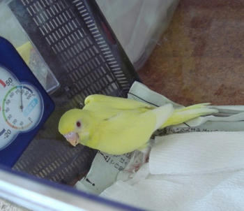 2009828pipi2.jpg
