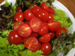 STB_6744.JPG