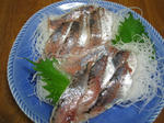STA_7198.JPG