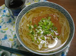 STB_8966.JPG
