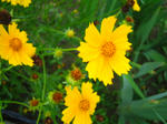 IMG_8943.JPG