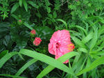 STB_8948.JPG