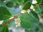 IMG_4297.JPG