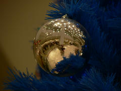P1100277.jpg