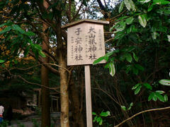 P1200108.jpg