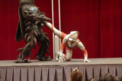 P1050007.jpg
