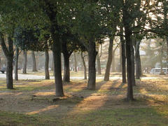 PC109501.jpg