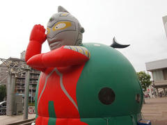 P6246448.jpg