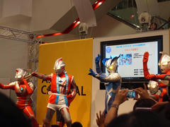 P8268764.jpg